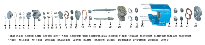 LQ系列衛(wèi)生級凸輪轉子泵轉子的形式